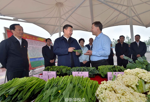 習(xí)近平：緬懷先烈、不忘初心，走好新的長征路