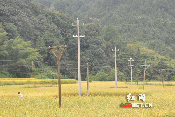【網絡媒體走轉改】永順三家田村：小基金大作用 留下永不撤走的扶貧隊