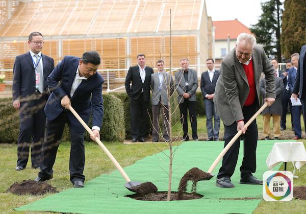 習(xí)主席三個月內(nèi)兩訪中東歐背后的外交智慧與謀略