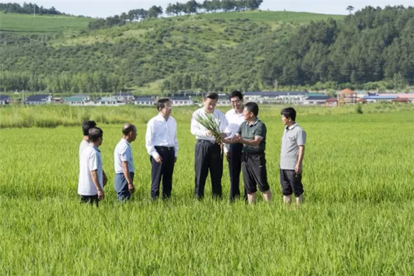 2015年，習總書記到過哪些地方？