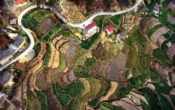 習近平治國有“數(shù)”