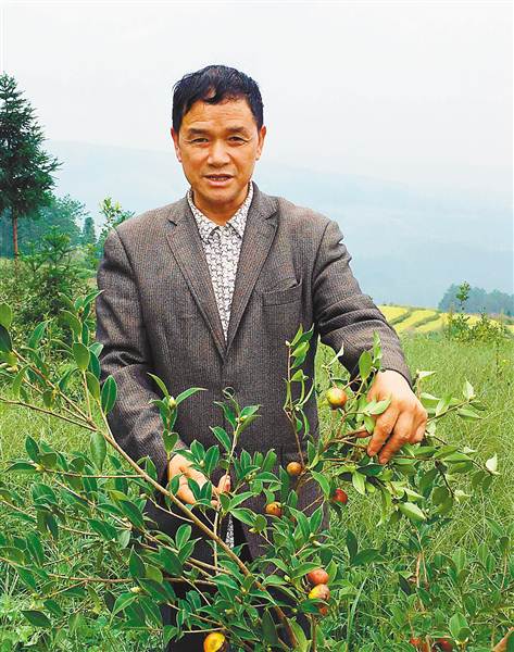 [治國理政新實踐·重慶篇]重慶市豐都縣武平鎮(zhèn)瓦泥坪村村委會主任代朝國 不當老板當村官