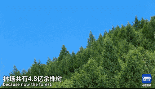 英國(guó)小哥到河北塞罕壩避暑，竟意外收獲了一個(gè)美麗的故事丨好運(yùn)中國(guó)