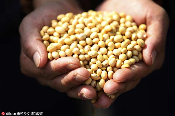 譚志娟：設立非轉基因大豆保護區