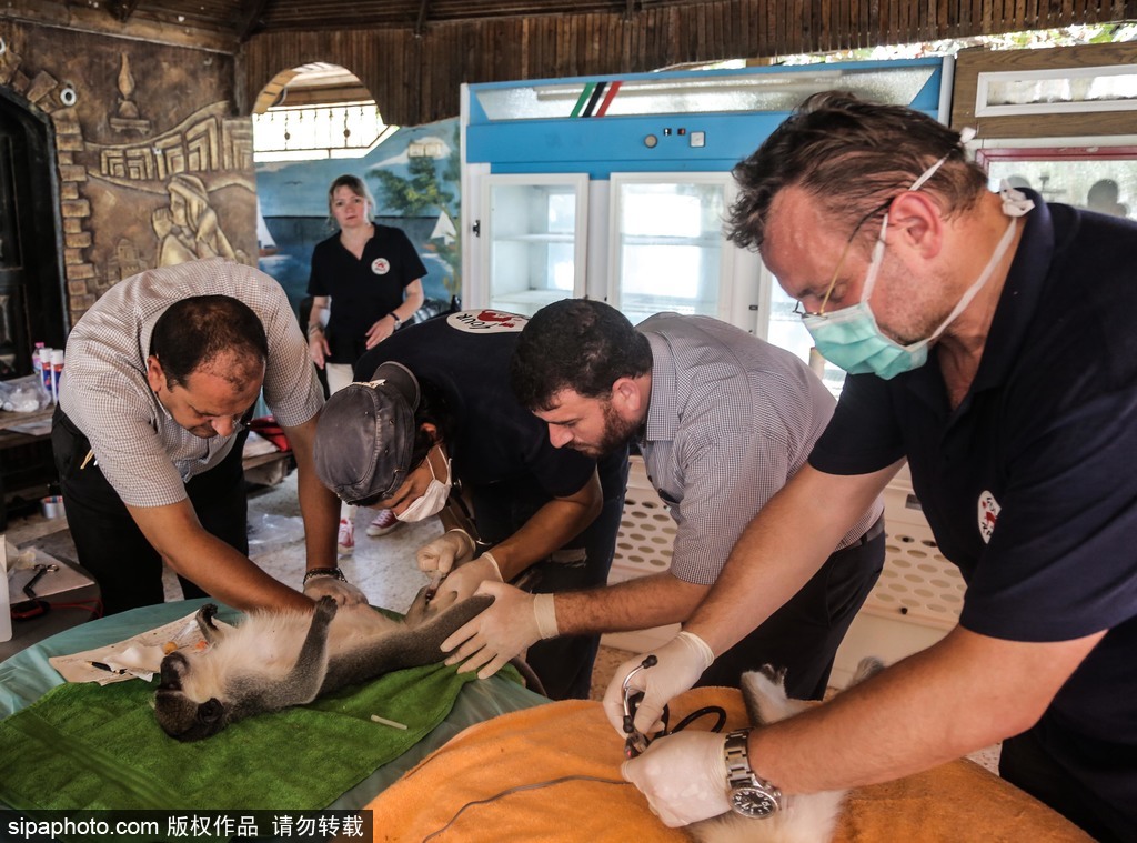 全球最慘動物園永久關閉