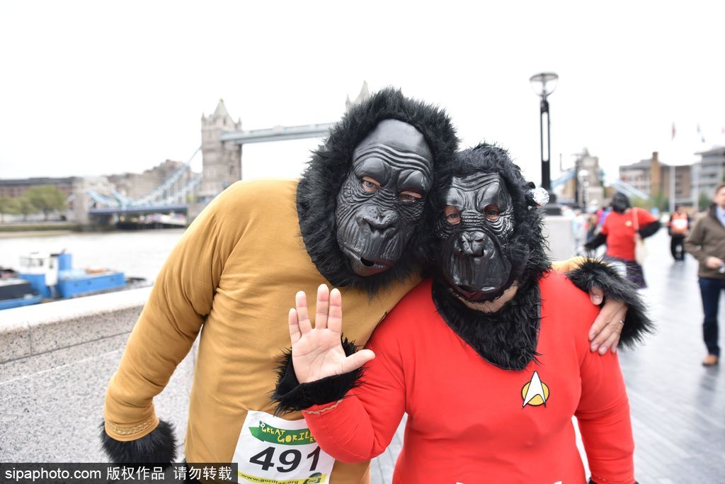 英國舉辦“大猩猩”慈善跑 人扮猩猩獻愛心募款
