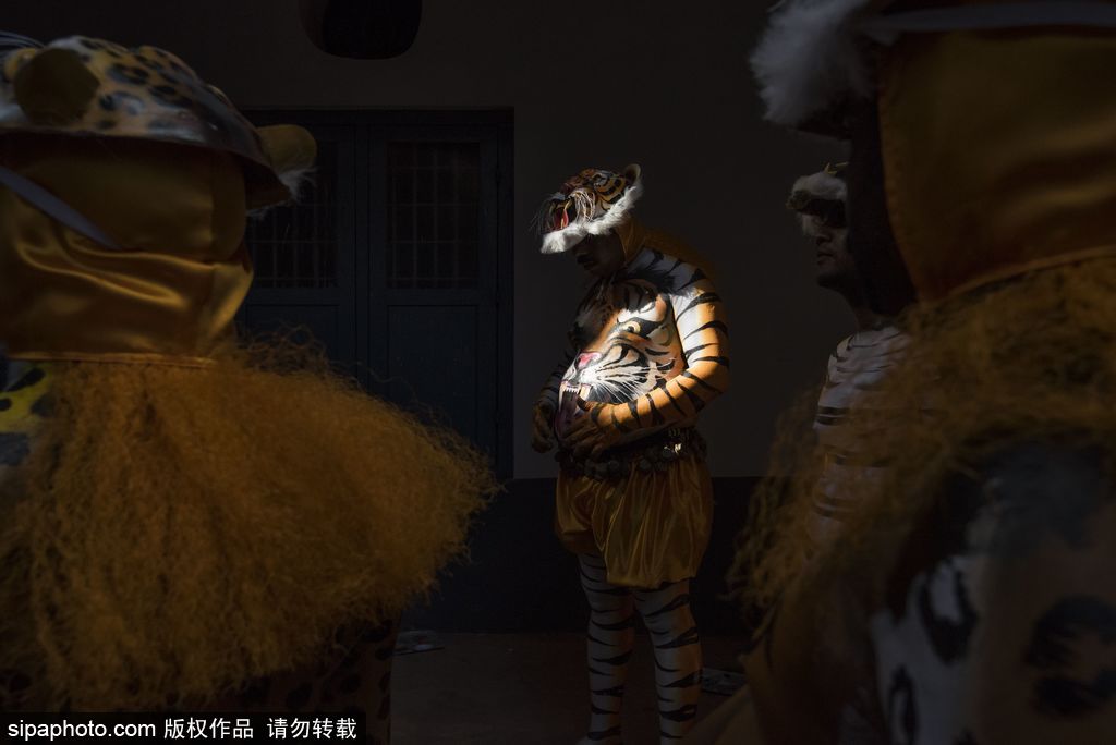 印度傳統虎舞的臺前幕后 表演者用顏料涂滿全身化身“猛虎”