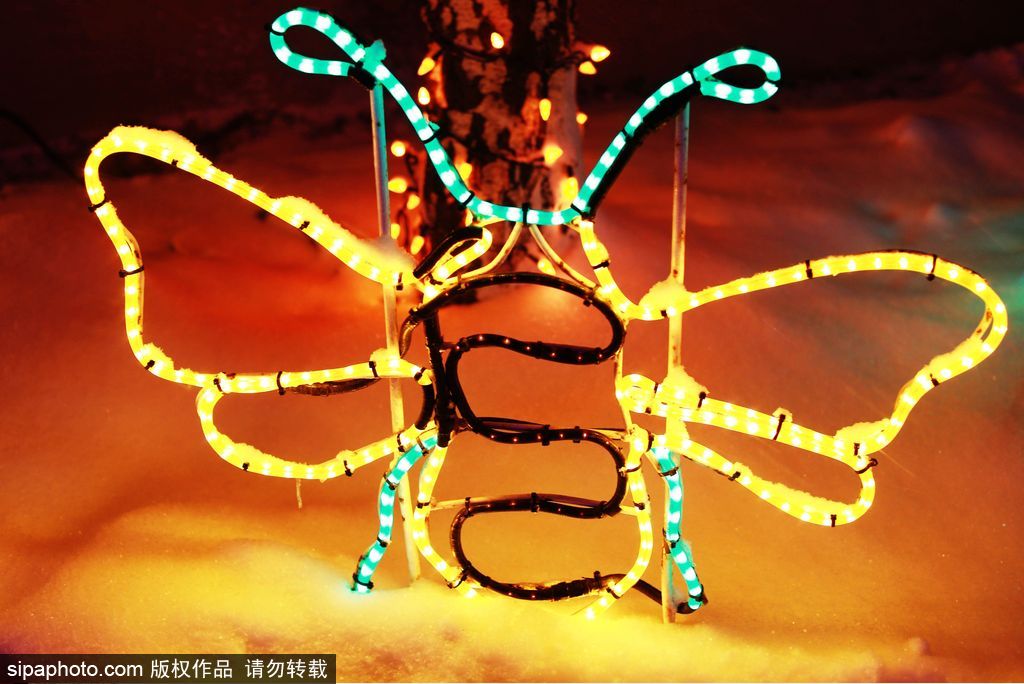 加拿大：卡爾加里公園亮起上萬彩燈迎接圣誕節 造型各異趣味十足