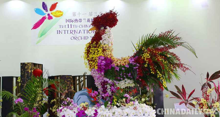 第十一屆中國(三亞)國際熱帶蘭花博覽會開幕