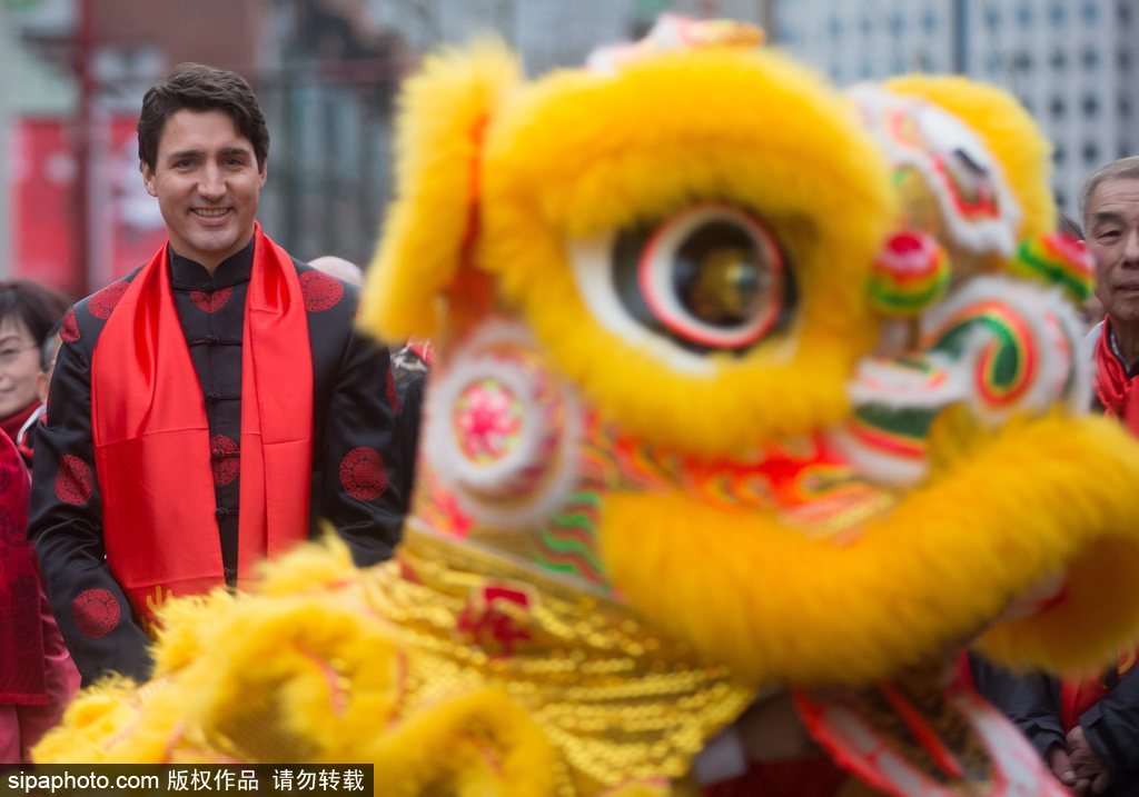 加拿大總理特魯多身著唐裝參加春節游行 撫摸舞獅頭激萌十足