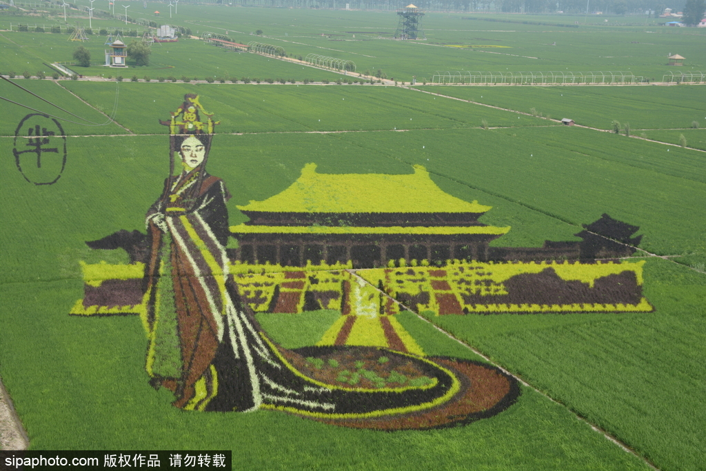 春回大地草木萌動 盤點那些農(nóng)田光景返樸歸真