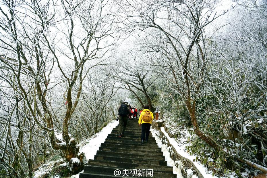 貴州梵凈山現霧凇美景 宛如仙境（組圖）