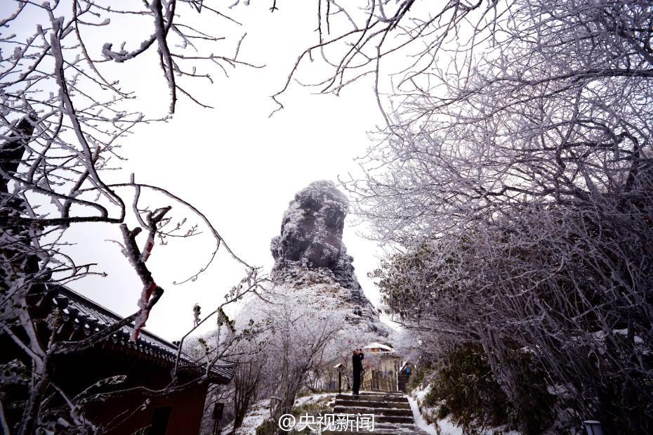 貴州梵凈山現霧凇美景 宛如仙境（組圖）
