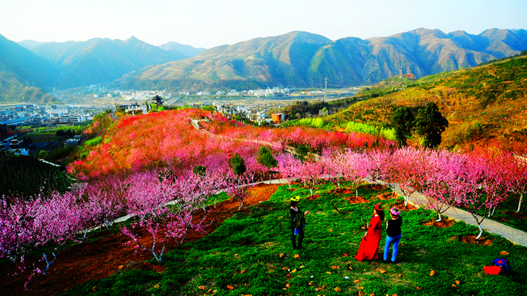 《三生三世》已完結(jié) 西安附近哪里能去看桃花？