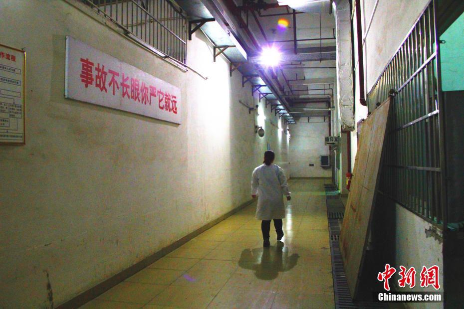 探訪廣西90后女遺體化妝師 堅守五年護(hù)送逝者最后一程（組圖）