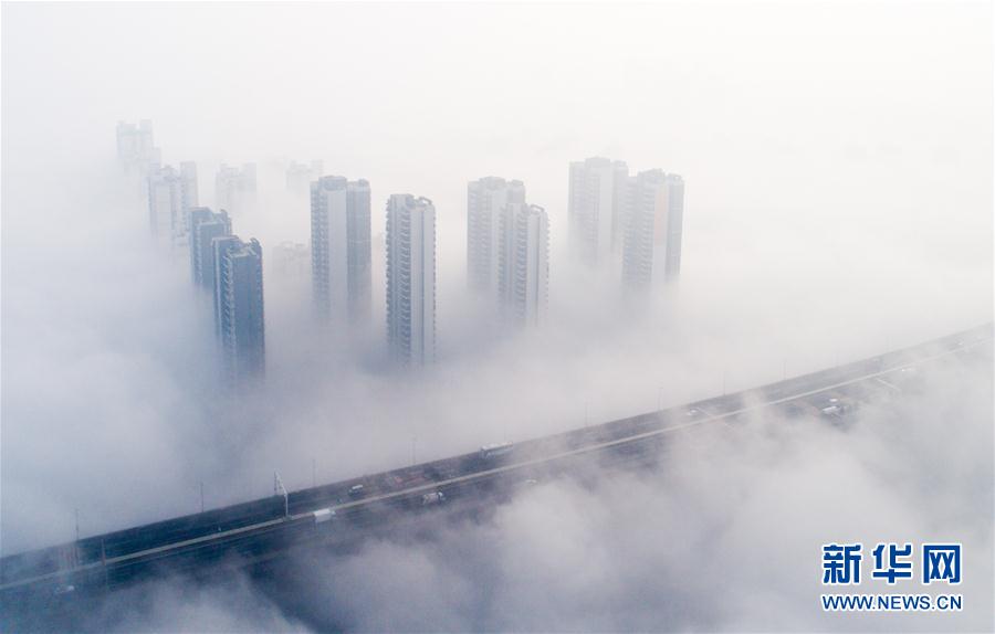 人間仙境！武漢現(xiàn)大霧天氣 高架橋宛如天路(組圖)