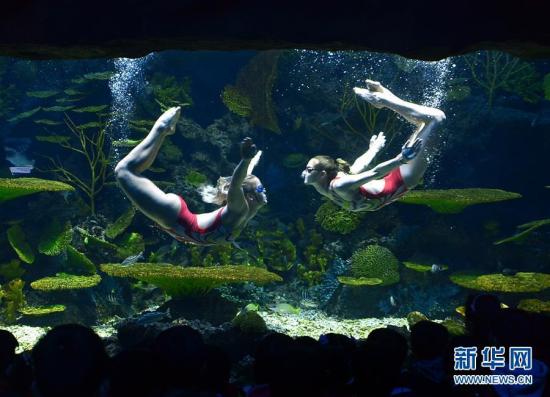 中國(guó)海洋館里的俄羅斯“美人魚”（組圖）