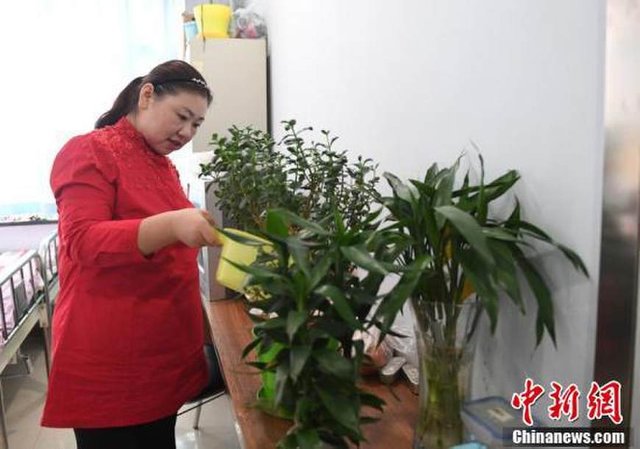30歲女子一年瘦231斤 到底發(fā)生了什么？