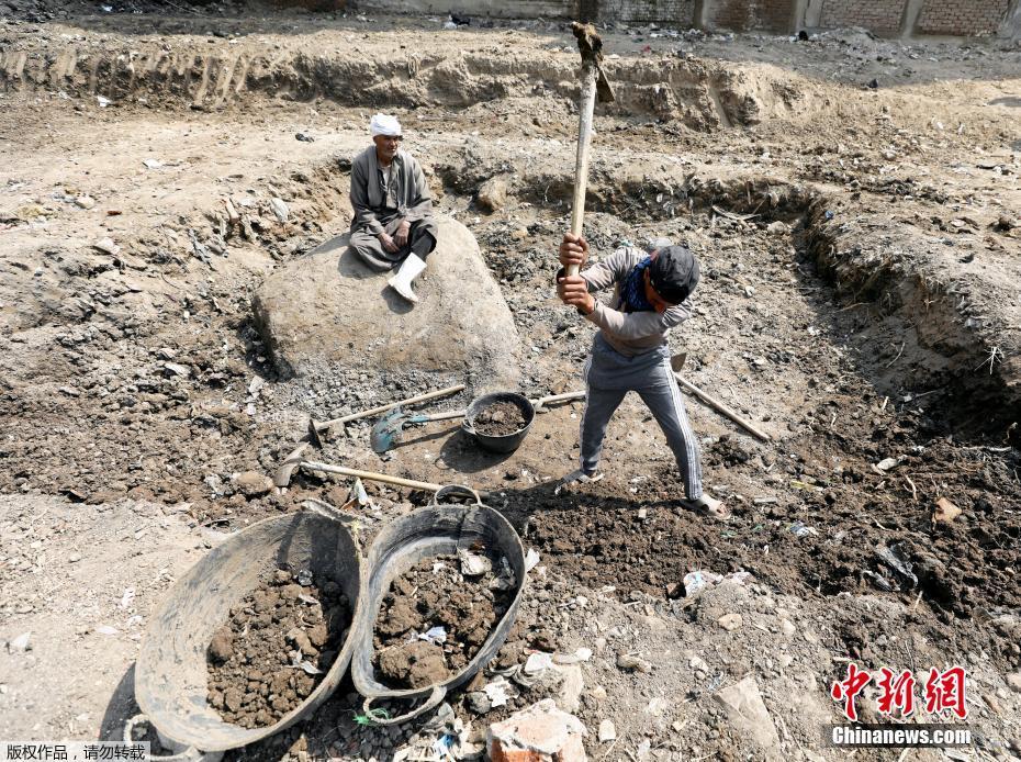 埃及貧民窟現3000年前法老雕像（組圖）