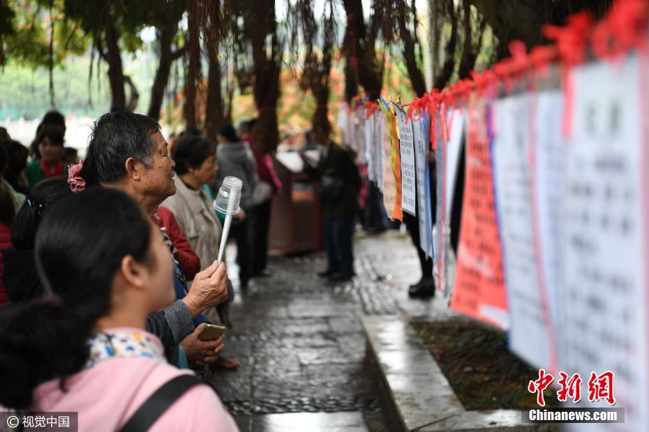 南寧公園“相親角”場面火爆 家長為子女找對象(組圖)