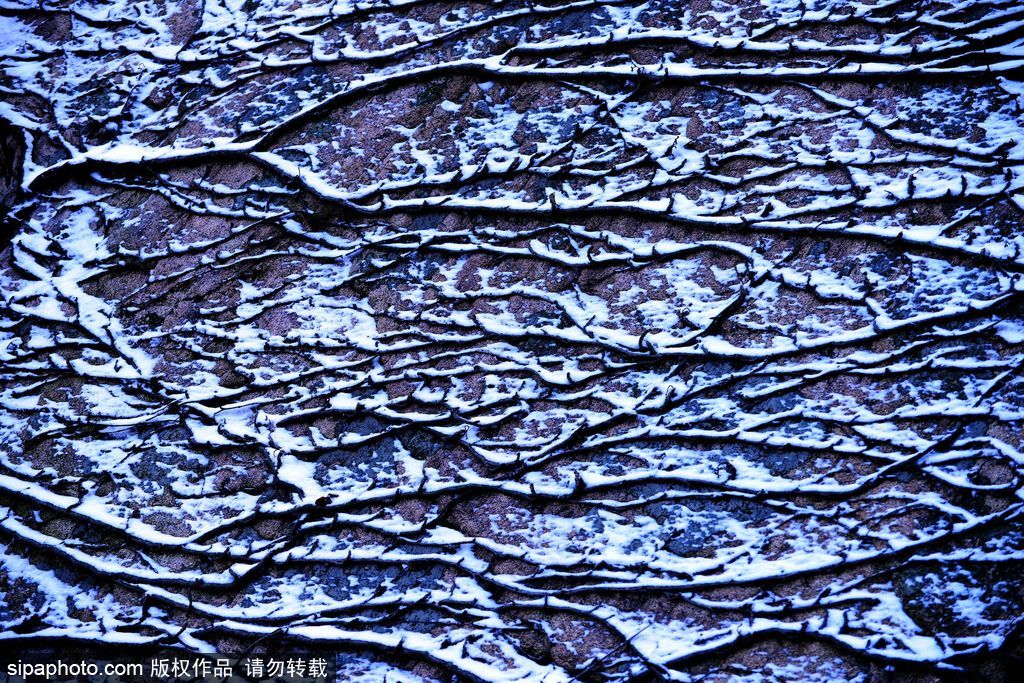 這個冬季太漫長？ 盤點(diǎn)霧凇冰掛美景讓你忘記季節(jié)時間
