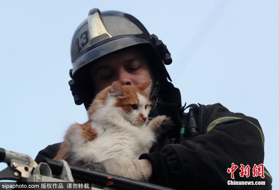有愛(ài)！公寓樓天然氣爆炸 消防員救出被困小貓
