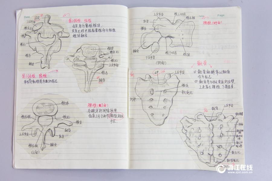 厲害了妹子！杭州大二女生解剖學(xué)筆記驚艷走紅