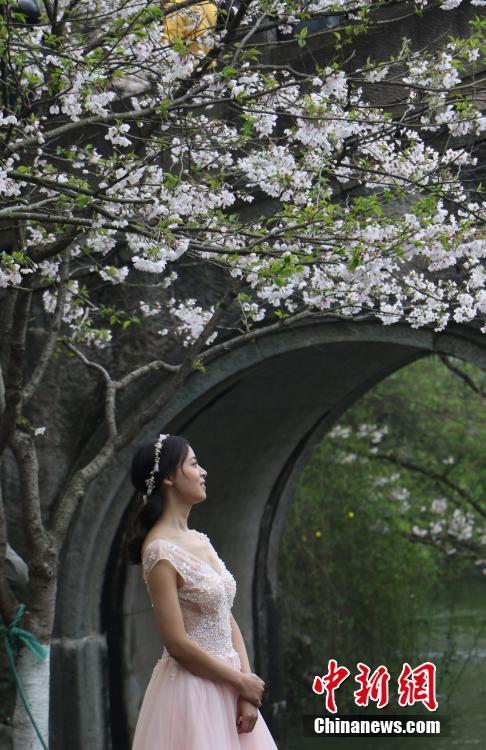 杭州太子灣公園繁花似錦