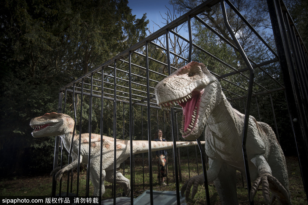 再現侏羅紀王國 倫敦奧斯特利公園舉辦互動恐龍模型展