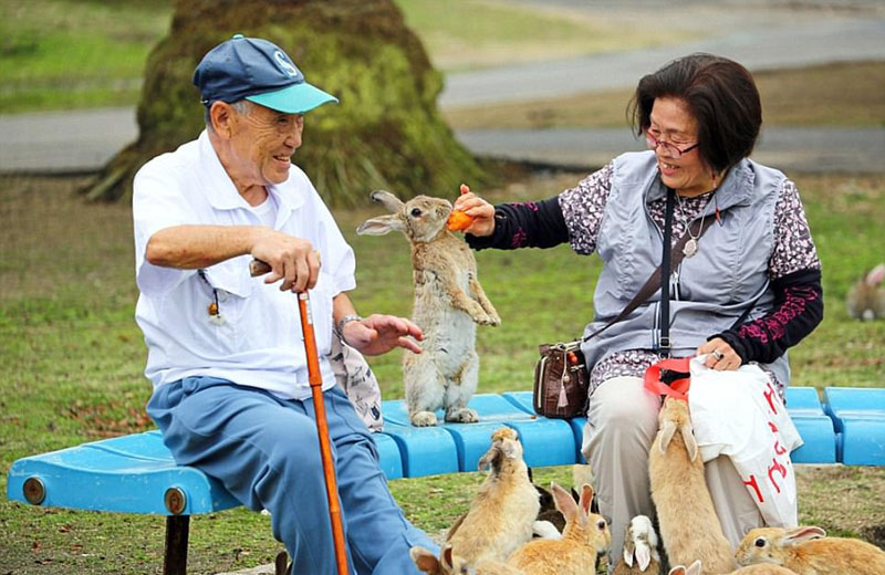 動物天堂！細數全球被動物“占領”的勝地