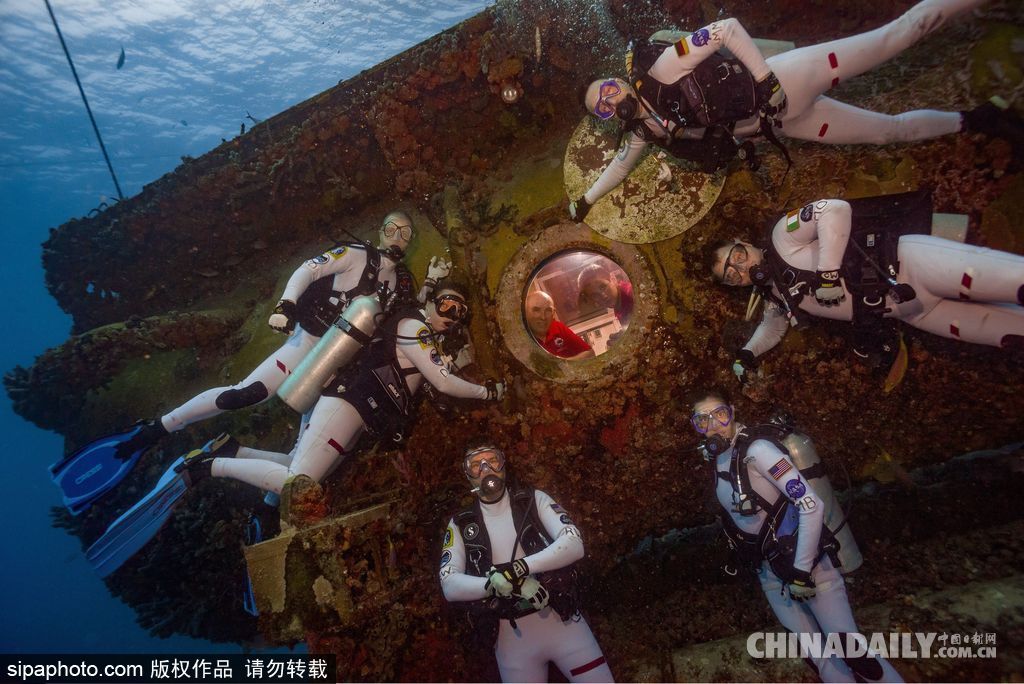 拼的就是創意 盤點水下世界趣聞不斷