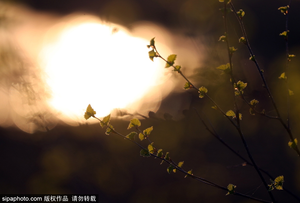 俄羅斯伊萬諾沃州春日風(fēng)光 寒意未退清新絕美