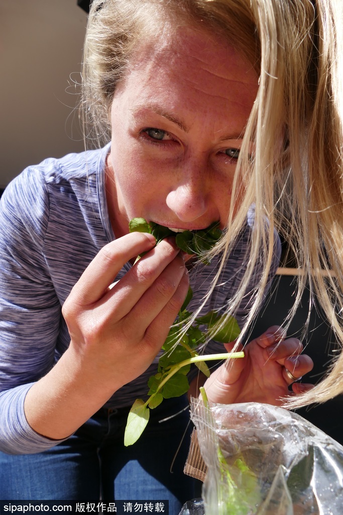 舌尖上的美食？英國(guó)吃豆瓣菜大賽眾選手大快朵頤瘋狂塞菜