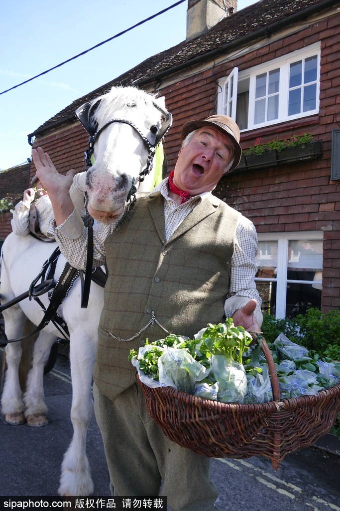 英國(guó)豆瓣菜節(jié)來(lái)襲 小鎮(zhèn)變綠色蔬菜世界