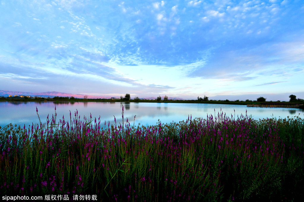 世界環(huán)境日 盤點(diǎn)國內(nèi)絕美濕地風(fēng)光