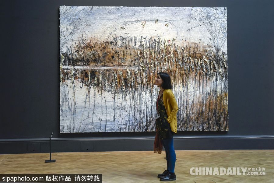 英國(guó)皇家學(xué)會(huì)2017夏季科學(xué)展 用藝術(shù)展現(xiàn)科技