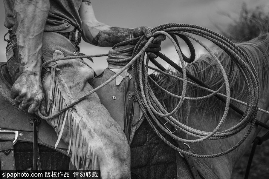 走進牛仔之鄉(xiāng)加拿大亞伯達 喚醒你心底沉睡的野馬