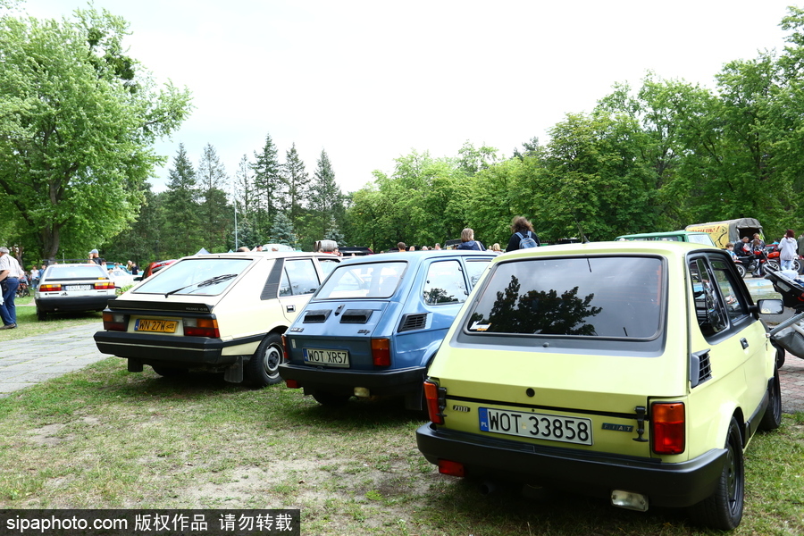 波蘭舉行復古車展 細數經典老爺車停留的歲月