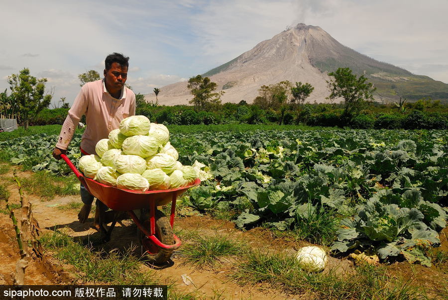心態(tài)好！錫納朋火山熔巖量持續(xù)增加 居民淡然生活