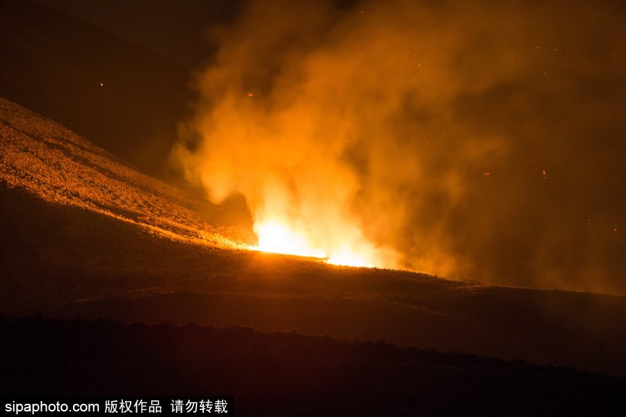 加拿大卑詩省山火蔓延 近7000人被疏散全省進入緊急狀態