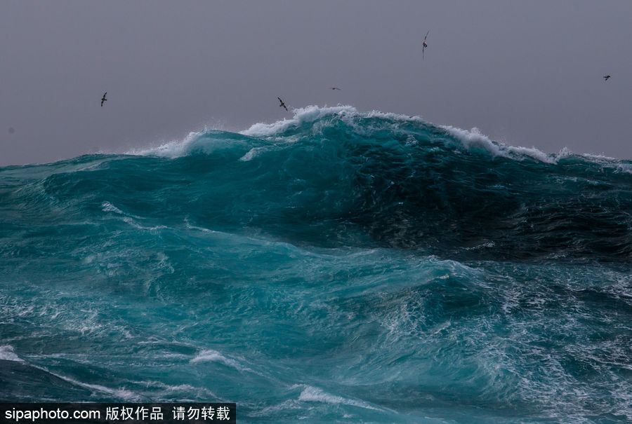 天氣太熱為眼睛“降溫” 冷色調大片帶你領略世界美景