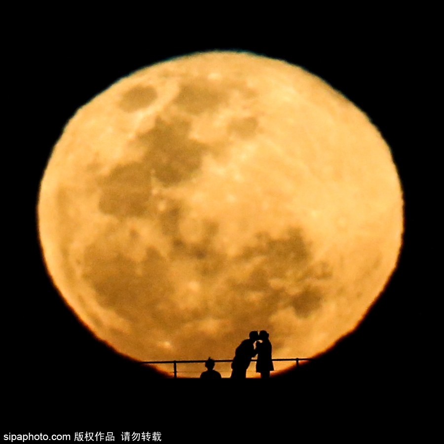人類月球日 盤點地球視角下的明月當空