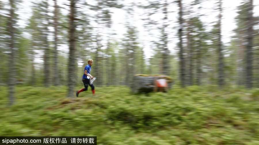 瑞典五日定向越野賽精彩開幕 男女老少齊上陣挑戰耐力極限