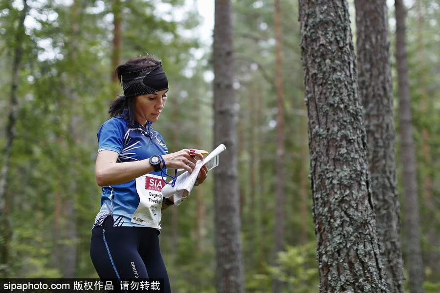 瑞典五日定向越野賽精彩開幕 男女老少齊上陣挑戰耐力極限