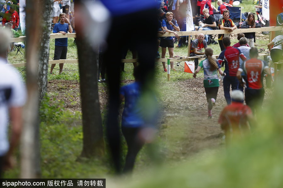 瑞典五日定向越野賽精彩開幕 男女老少齊上陣挑戰耐力極限