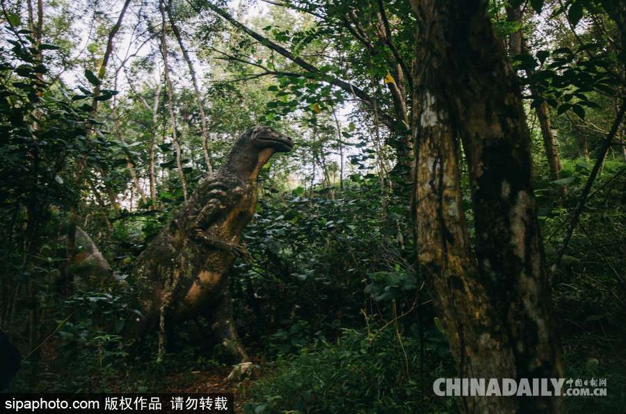 馬來西亞廢棄主題公園 似現實版侏羅紀公園