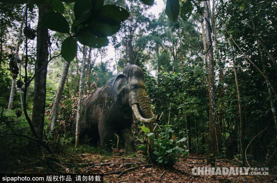 馬來西亞廢棄主題公園 似現實版侏羅紀公園