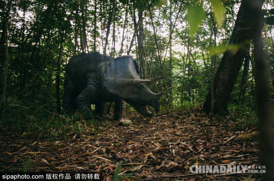 馬來西亞廢棄主題公園 似現實版侏羅紀公園
