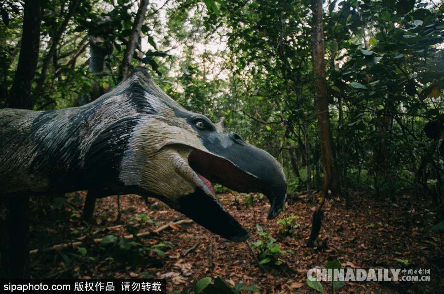 馬來西亞廢棄主題公園 似現實版侏羅紀公園