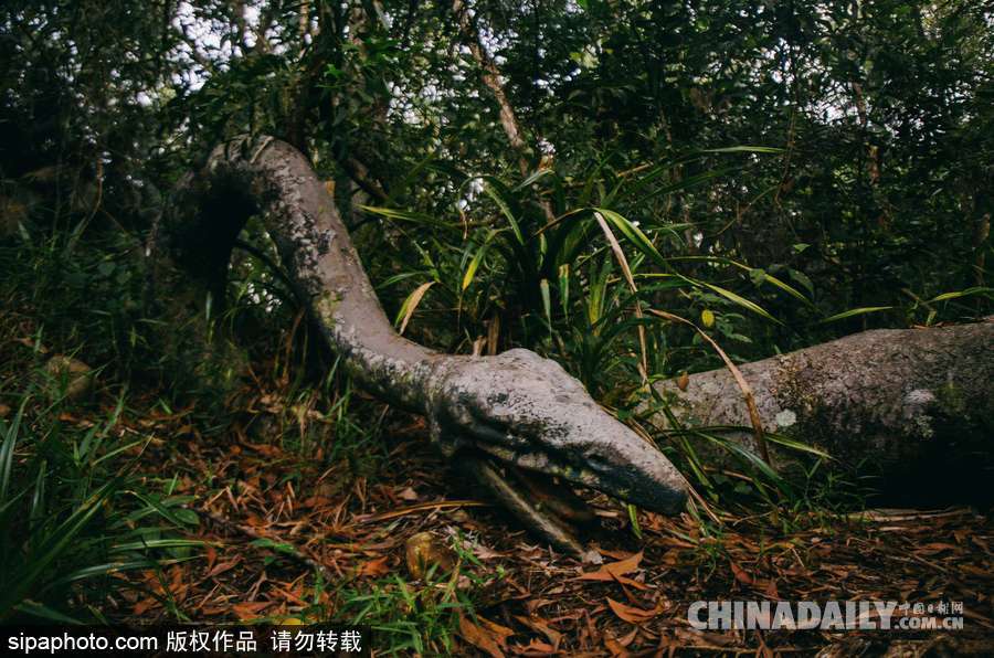 馬來西亞廢棄主題公園 似現實版侏羅紀公園